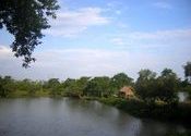 JUST A SHOT by HASHNUHANA.  Tags: West Bengal, Piyali Island.