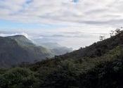 Peak Wilderness Sanctuary by Lou Wilson.  Tags: Dalhousie, Himachal Pradesh, Crossing the Border.