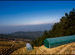 A plant nursery, in Ranikhet