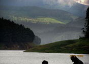 Munnar by roehit.  Tags: Kerala, Munnar.