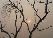 IMG_02361 by meranaamjoker1601