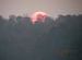 Sun drops in forest
