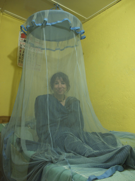 Under The Mosquito Net India Travel Forum