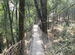 The Canopy Bridge