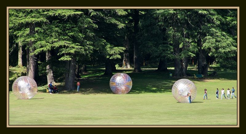 Funny Balls At Khajjiar Funny Balls At Khajjiar