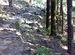 Triund Trek Start