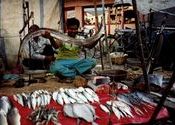 Fishing in Nagpur by IndiaJim.  Tags: Nagpur, Maharashtra, City Life, fishing.