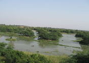 Sultanpur1 by prateeknsit.  Tags: Haryana.