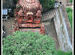 Shiva Temple