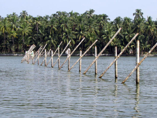 Valiyaparamba backwaters Valiyaparamba backwaters