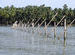 Valiyaparamba backwaters
