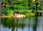 Mandakini Lake by aarosh.  Tags: Rajasthan, Mount Abu, near achalgarh shiva temple, Lakes, mandakini.