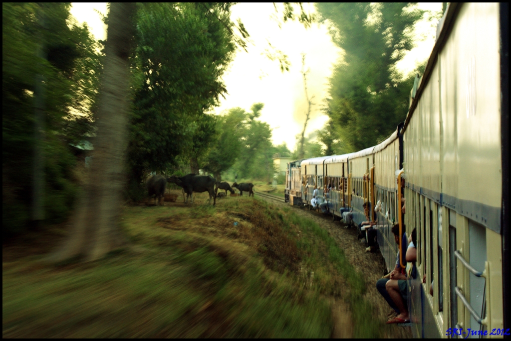 Toy Train, Pathankot to Palampur India Travel Forum