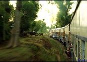 Toy Train, Pathankot to Palampur by hermetic.  Tags: Punjab, Pathankot, palampur, Toy Trains, Trains.