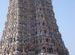 reachapk's photos