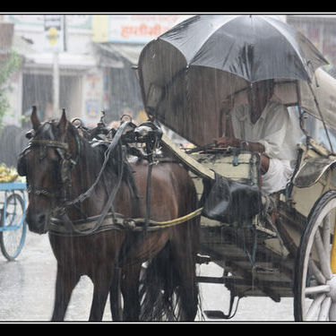 Best Time to Visit India - Climate, Weather, and Indian Topography Basics