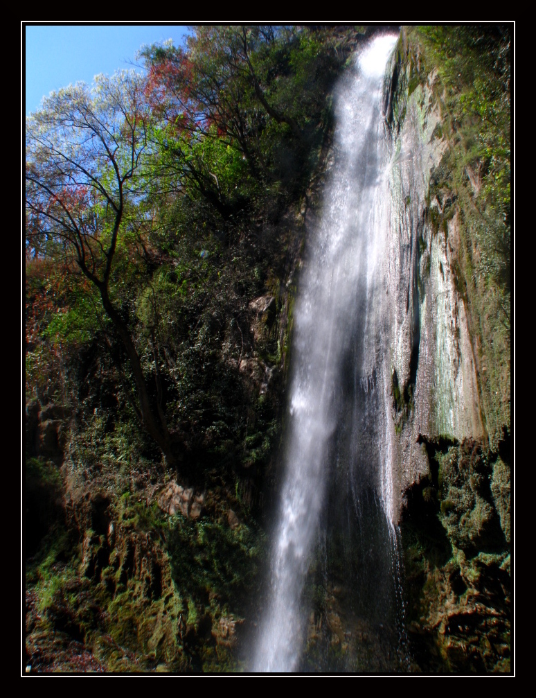 The Tiger falls 2 India Travel Forum