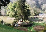 Sim's Park, Coonoor by vonkla.  Tags: Tamil Nadu, Coonoor.