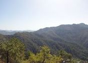 View from train by Figment.  Tags: Himachal Pradesh, Shimla, Trains.