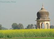 Nature in full bloom, mustard fields in villages of Rewari by travelindiapress.  Tags: Rewari, Haryana, Bikaner, Rajasthan, nature, Wildlife Sanctuaries and National Parks.