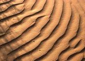 Auto graph of  Mother Nature by Desertphotographer.  Tags: Rajasthan, Bikaner, auto graph of  mother nature, Thar Desert, sand dunes, ripples, nature.