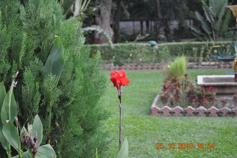 Gift of Nature Gift of Nature