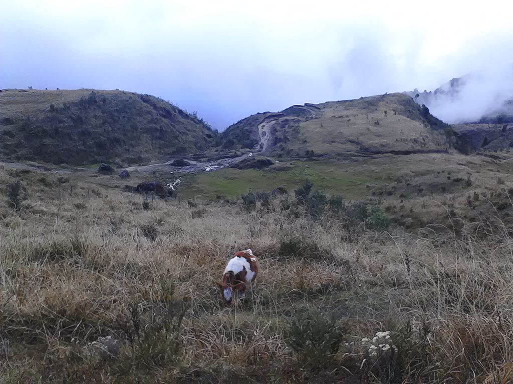 tumling India Travel Forum