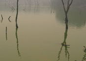 IMG_02402 by meranaamjoker1601