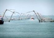 Chinese fishing nets by vonkla.  Tags: Kerala Backwaters, fishing.