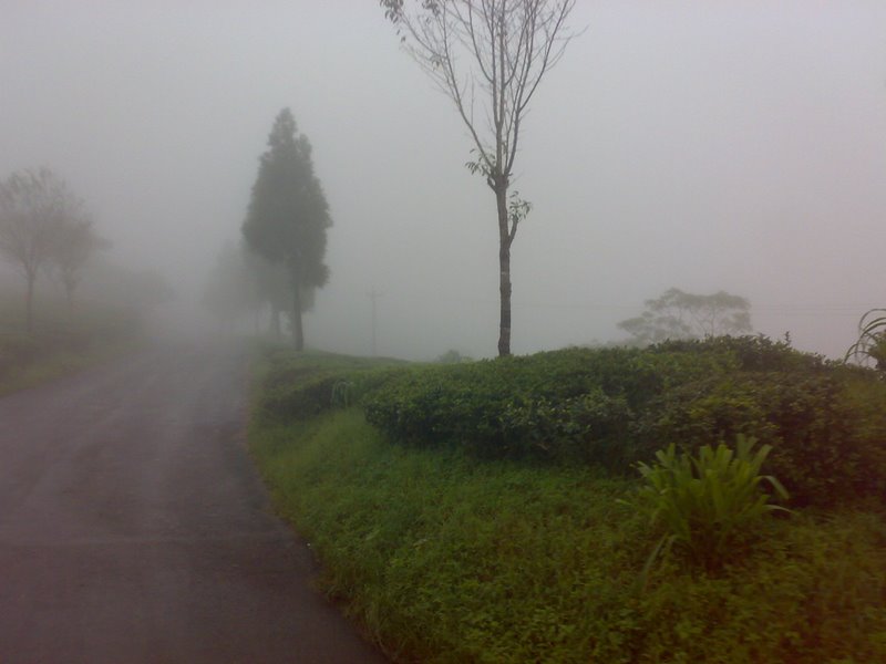 Way to Mirik Way to Mirik
