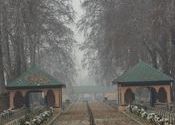 Mughal Gardens, Srinagar by prince09.  Tags: Jammu and Kashmir, Srinagar, Kashmir.