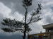 Auli, By Delhidost.