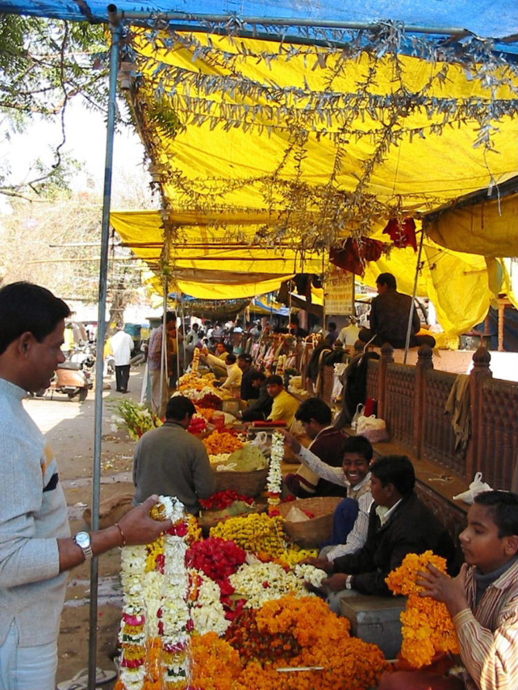 Flower Market, Jaipur India Travel Forum