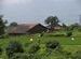 Tribal Villages- Ancient Temples and Caves 