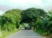 way to Mayapur