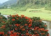 View from my hotel balcony, Munnar by Sadanand Kamath.  Tags: Munnar, Kerala, Idukki.