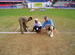 Cricket in India