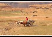 Bullock Cart by aarosh.  Tags: Maharashtra, Pali, Rajasthan.