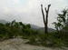 Jayanti Buxa Tiger reserve