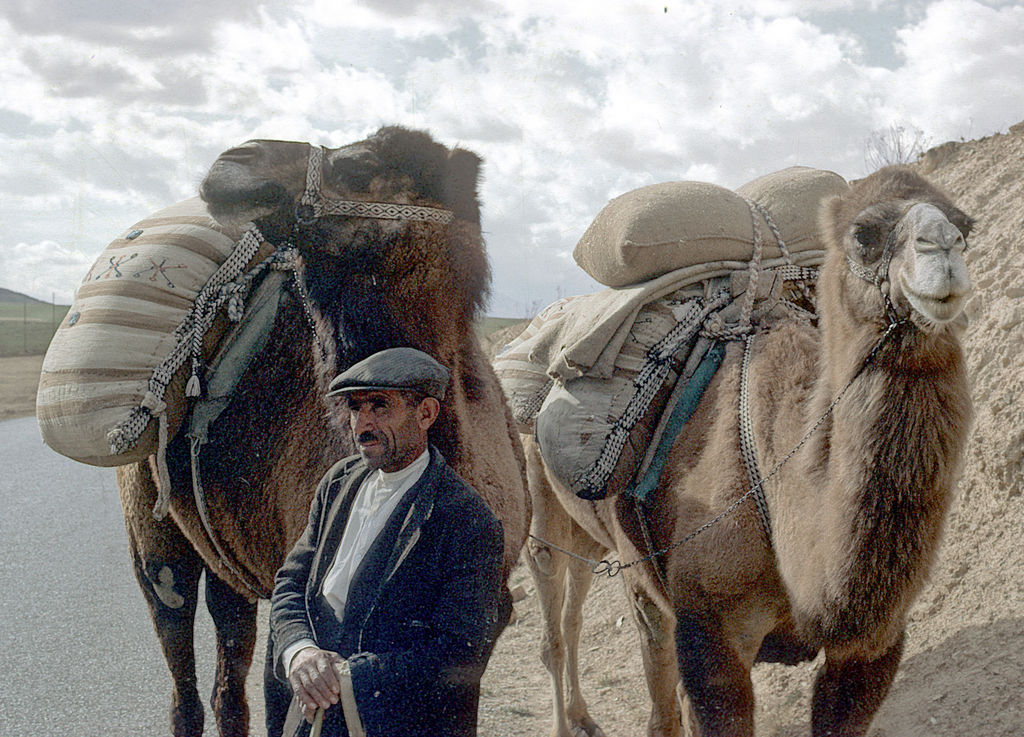 On the Road Overland 1970 Turkey India Travel Forum