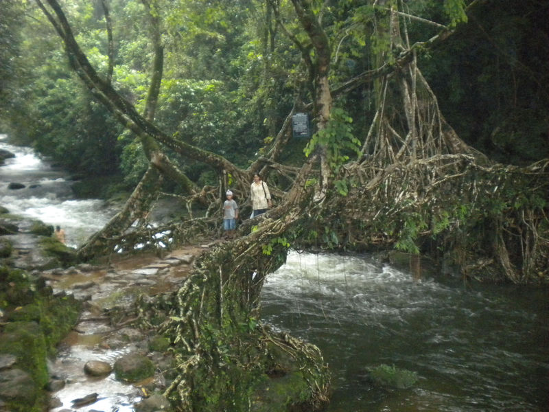 Shillong Trip Mawlynnong India Travel Forum