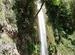 Tiger Falls at Chakrata