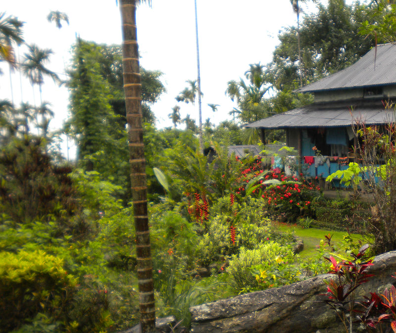 Shillong Trip Mawlynnong India Travel Forum