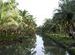 Backwaters - narrow canals