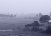 Morning Mist by biman.  Tags: West Bengal, Bishnupur, bankura, mist, morning.