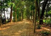 Shunyo Pothe by Dhritimanb.  Tags: Howrah, West Bengal, wb.