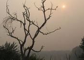 the beautiful sunset !! by meranaamjoker1601.  Tags: Wildlife, Sunsets, beautiful.