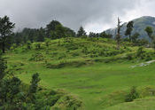 Musoorie by gursons.  Tags: Mussoorie, Uttarakhand, musoorie, Hathi Paon.