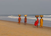 Gopalpur On Sea by Lou Wilson.  Tags: Odisha, Gopalpur, sea.