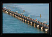 ..... the saint by Bhaswaran.  Tags: Tamil Nadu, Rameswaram, pamban.